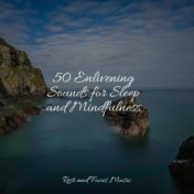 50 Peaceful Melodies for Meditation & Vibes