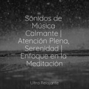 Sonidos de Música Calmante | Atención Plena, Serenidad | Enfoque en la Meditación