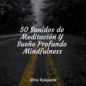 50 Sonidos de Meditación Y Sueño Profundo Mindfulness