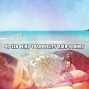 40 Zen Mind Tranquility Rain Sounds