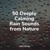 50 Deeply Calming Rain Sounds from Nature