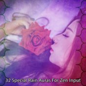 32 Special Rain Auras for Zen Input