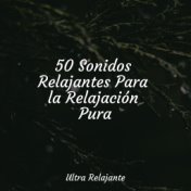 50 Sonidos Relajantes Para la Relajación Pura