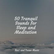 50 Tranquil Sounds for Sleep and Meditation