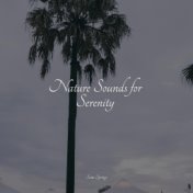 Nature Sounds for Serenity