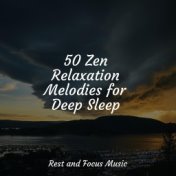 50 Zen Relaxation Melodies for Deep Sleep