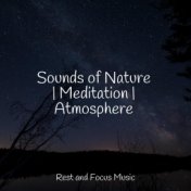 Sounds of Nature | Meditation | Atmosphere