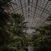 50 Sounds of Nature for Massage