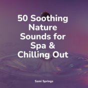 50 Soothing Nature Sounds for Spa & Chilling Out