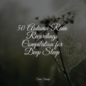 50 Autumn Rain Recordings Compilation for Deep Sleep