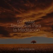 50 Pistas Relajantes Para la Meditación