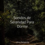 Sonidos de Serenidad Para Dormir