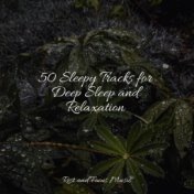 50 Sleepy Tracks for Deep Sleep and Relaxation