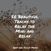 50 Beautiful Tracks to Relax the Mind and Relax