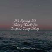 50 Spring 50 Sleepy Tracks for Instant Deep Sleep
