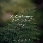50 Enchanting Delta Wave Songs