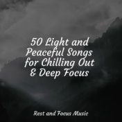 50 Light and Peaceful Songs for Chilling Out & Deep Focus