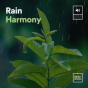 Rain Harmony