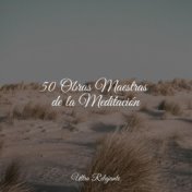 50 Obras Maestras de la Meditación