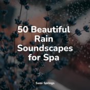 50 Beautiful Rain Soundscapes for Spa