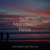 Soft Melodies | Relax