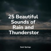 25 Beautiful Sounds of Rain and Thunderstorm
