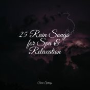 25 Rain Songs for Spa & Relaxation