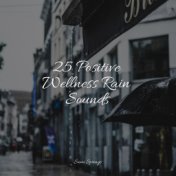 25 Positive Wellness Rain Sounds