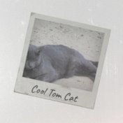 Cool Tom Cat
