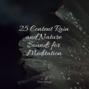 25 Content Rain and Nature Sounds for Meditation