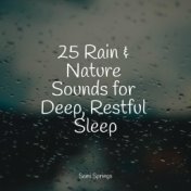 25 Rain & Nature Sounds for Deep, Restful Sleep