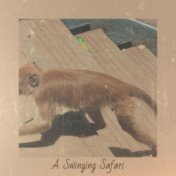 A Swinging Safari