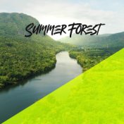 Summer Forest - Relaxing Sounds for Deep Relaxation and Rest with Beautiful Nature