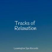 Tracks of Relaxation