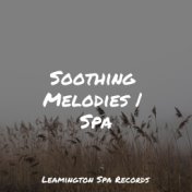 Soothing Melodies | Spa