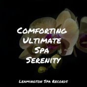 Comforting Ultimate Spa Serenity