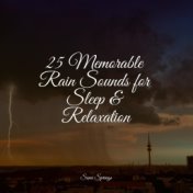 25 Memorable Rain Sounds for Sleep & Relaxation