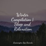 Winter Compilation | Sleep and Relaxation