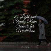 25 Light and Steady Rain Sounds for Meditation