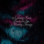 25 Calming Rain Tracks for Spa Morning Therapy