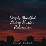 Deeply Mindful Living Music | Relaxation