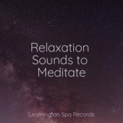 Relaxation Sounds to Meditate