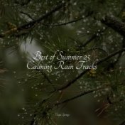 Best of Summer 25 Calming Rain Tracks