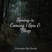 Spring is Coming | Spa & Sleep
