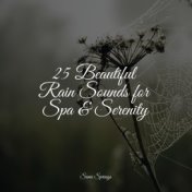 25 Beautiful Rain Sounds for Spa & Serenity