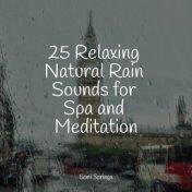 25 Relaxing Natural Rain Sounds for Spa and Meditation