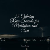 25 Calming Rain Sounds for Meditation and Spa