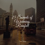 25 Sounds of Warming Rainfall