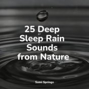 25 Deep Sleep Rain Sounds from Nature