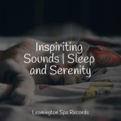Inspiriting Sounds | Sleep and Serenity